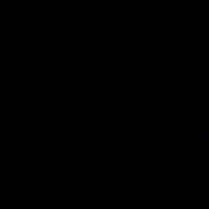 Meet your Posher, Shealee